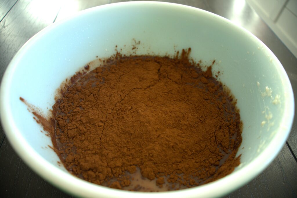 Cacao powder covering a wet surface in a bowl.